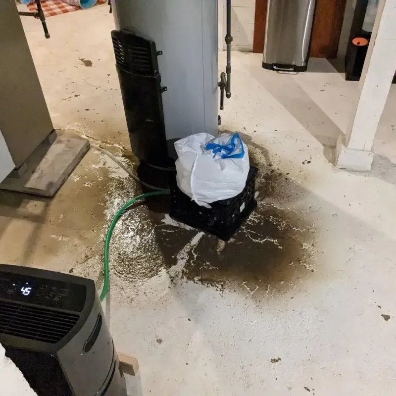 Sewage Backup Cleanup Service in Kingstree, SC